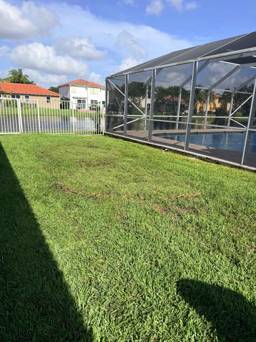 Lawn Replacement_after
