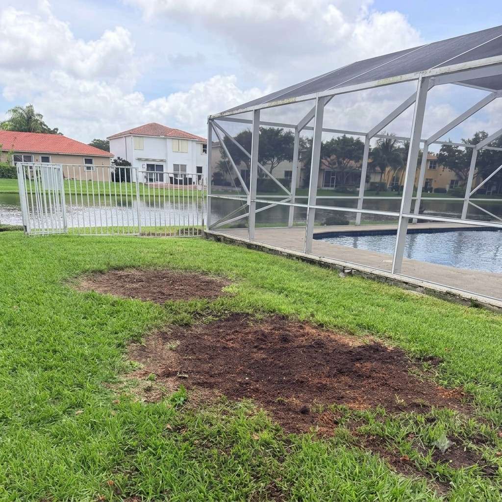 Lawn-Replacement_before